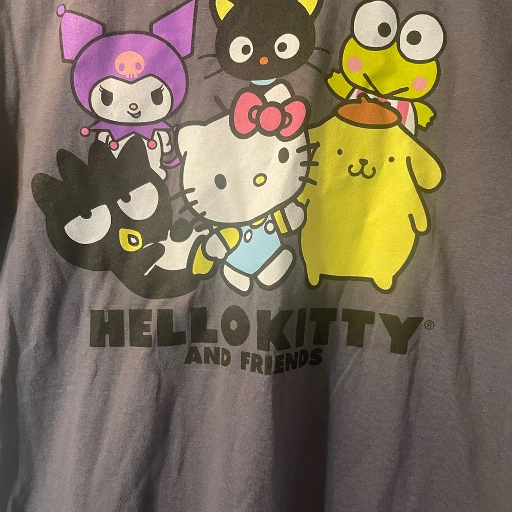 Hello Kitty &friend graphic tee charcoal gray size XL , NWT